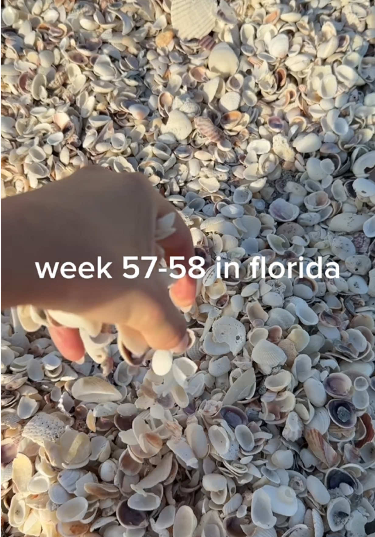 @Danielle Zulkosky