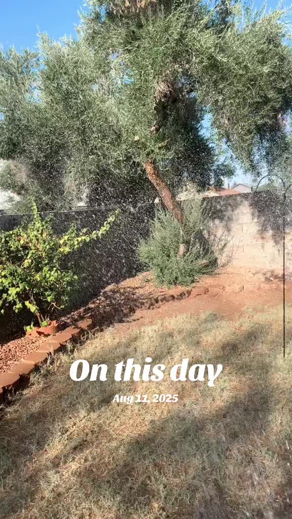 @DeeDeefromAZ