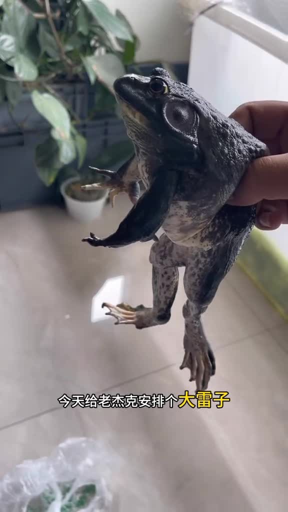 @aquaticbeastkeepe