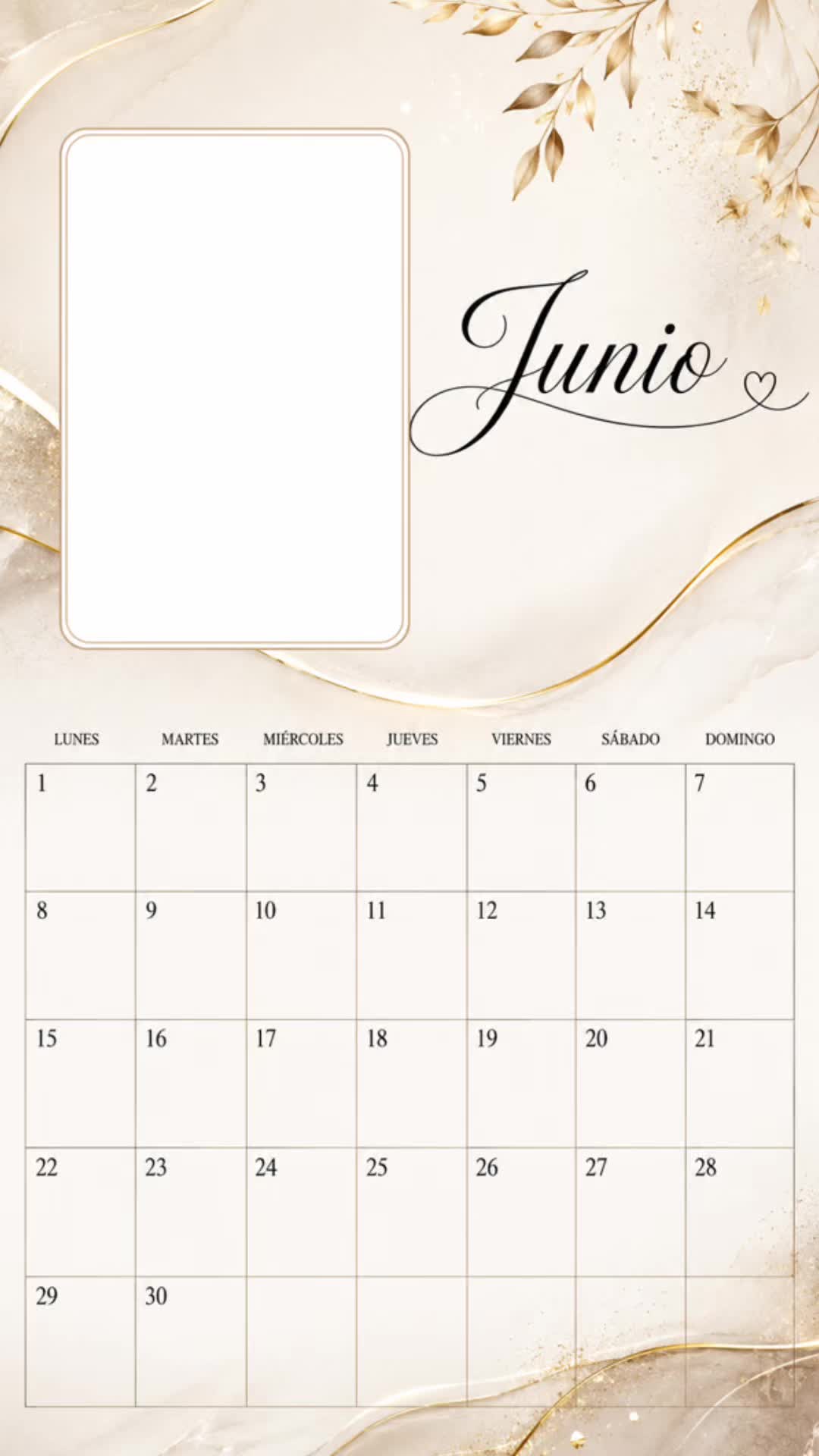 @judith67
