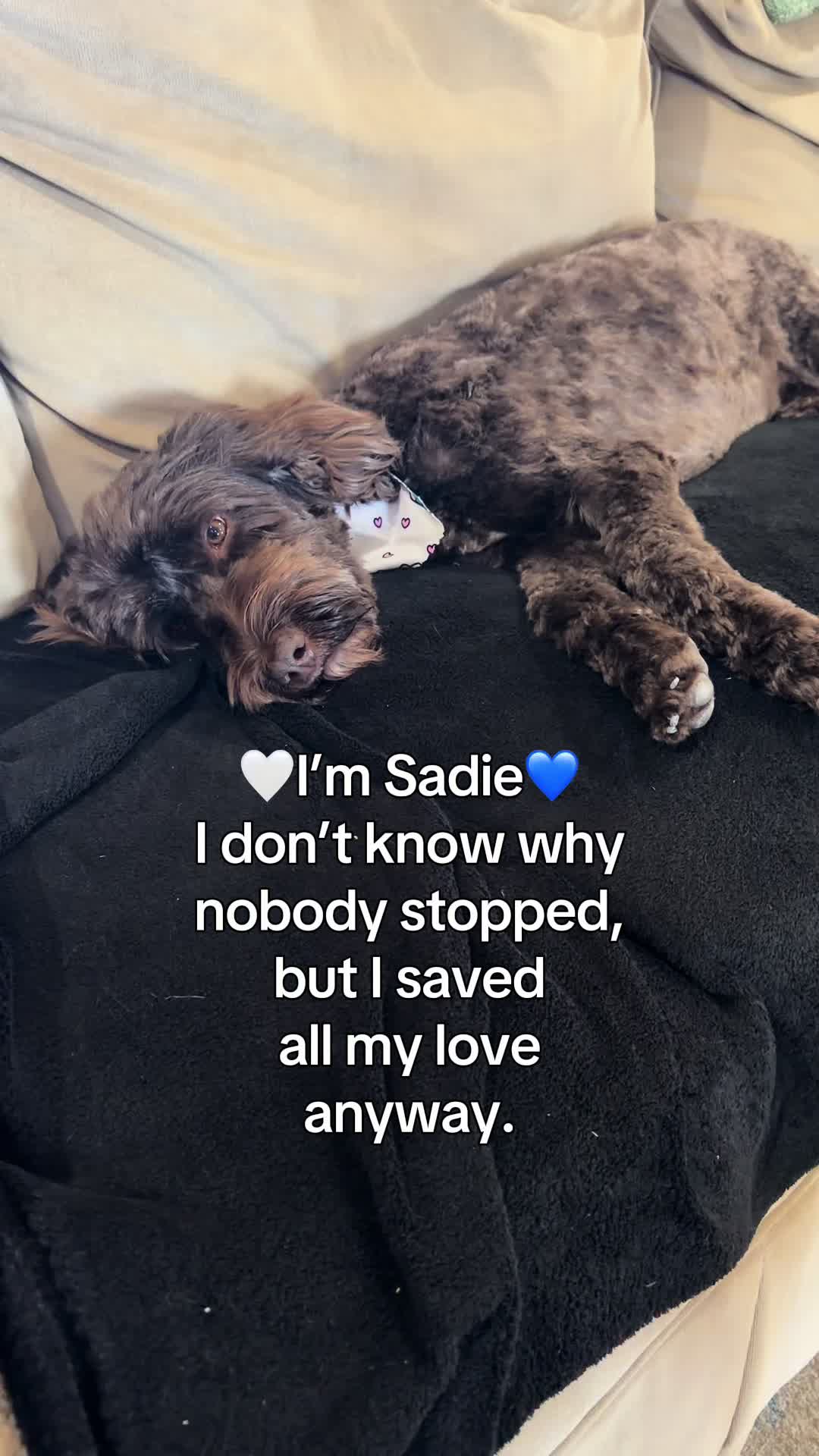 @Sadie the Doodle