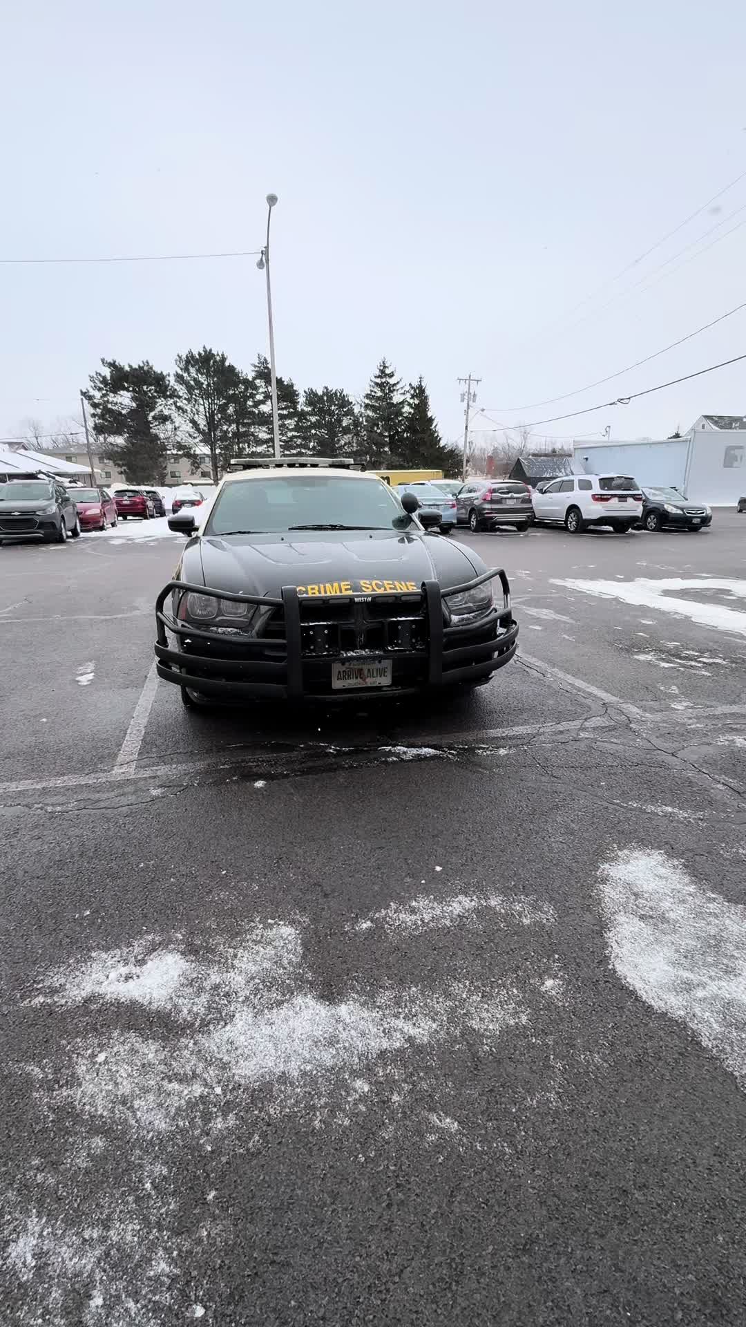 @Monster FHP