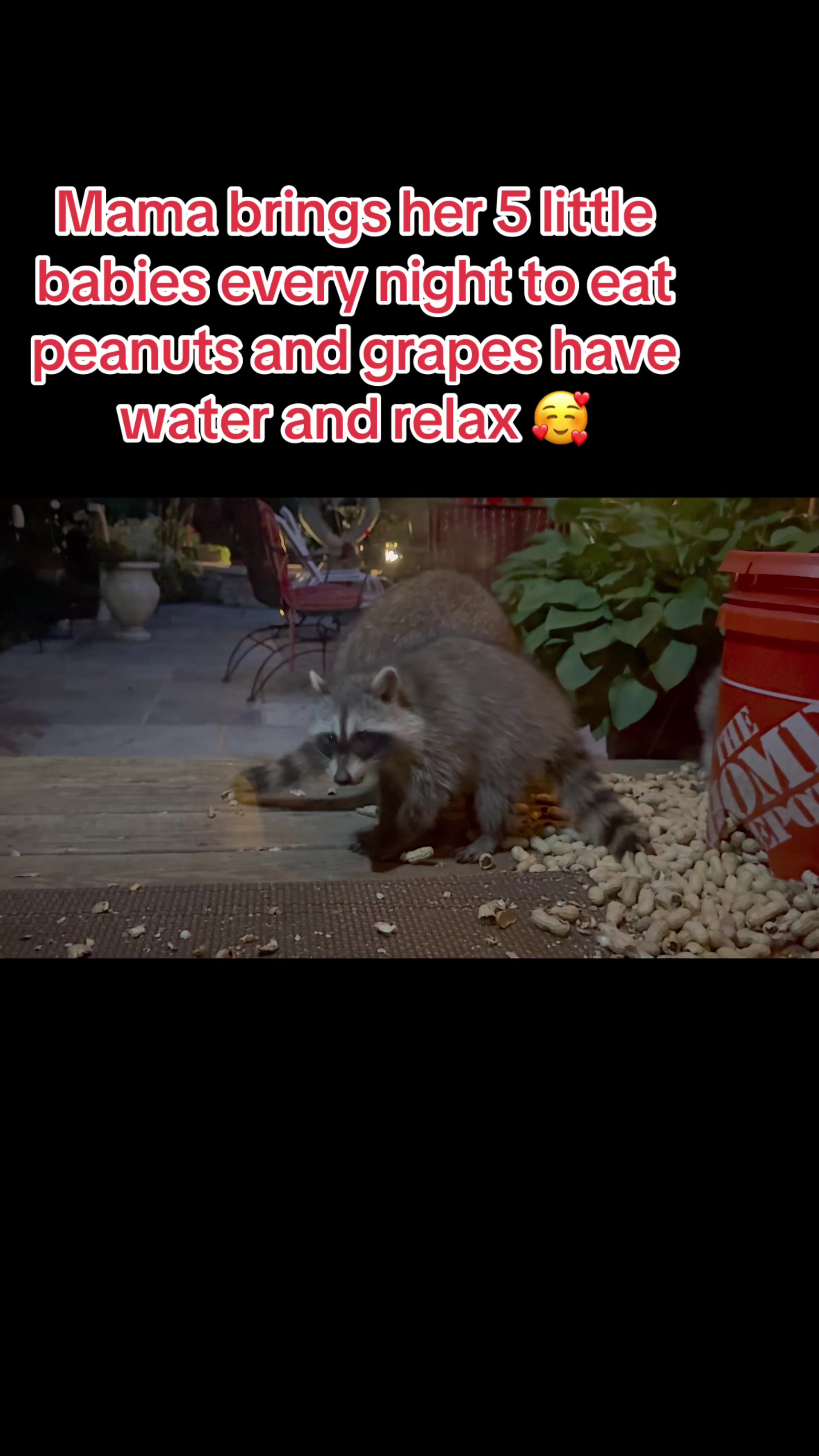 @E🌹