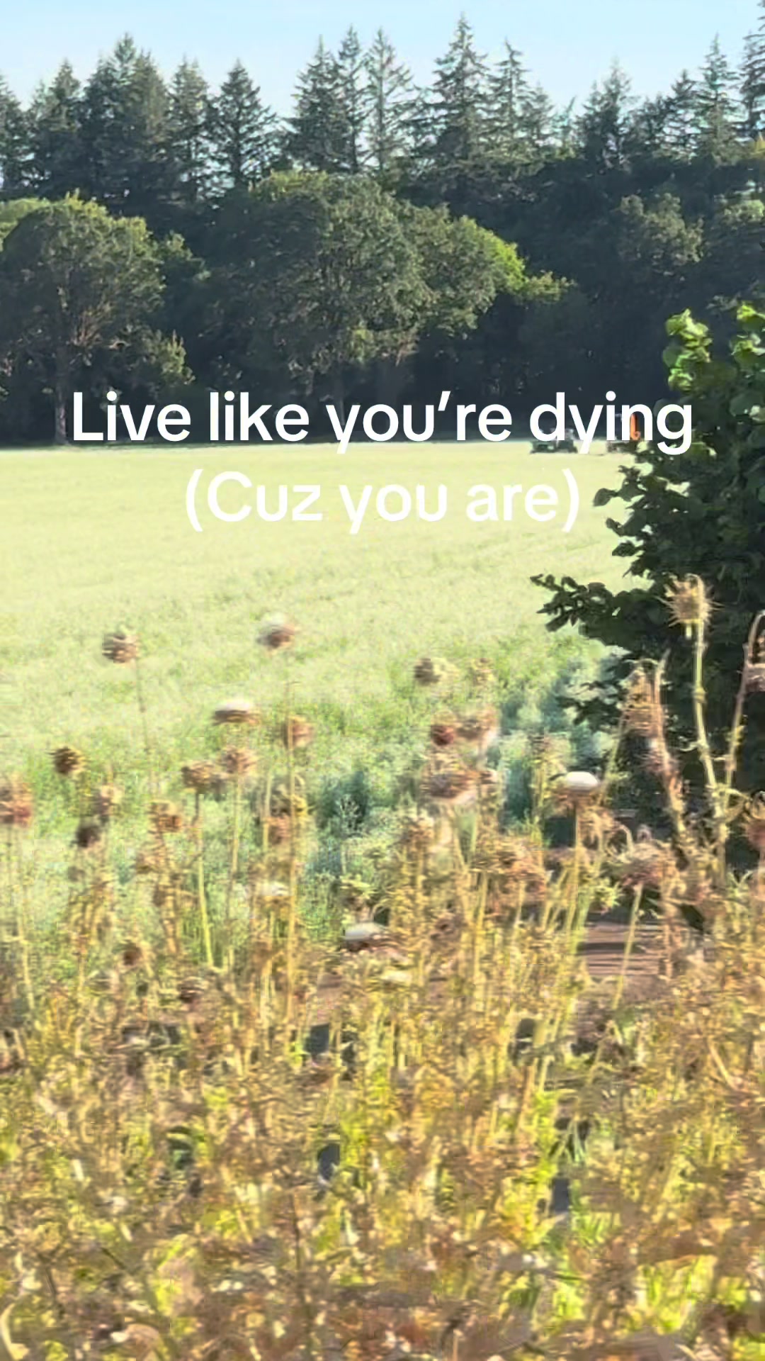 @LifeWithElisa