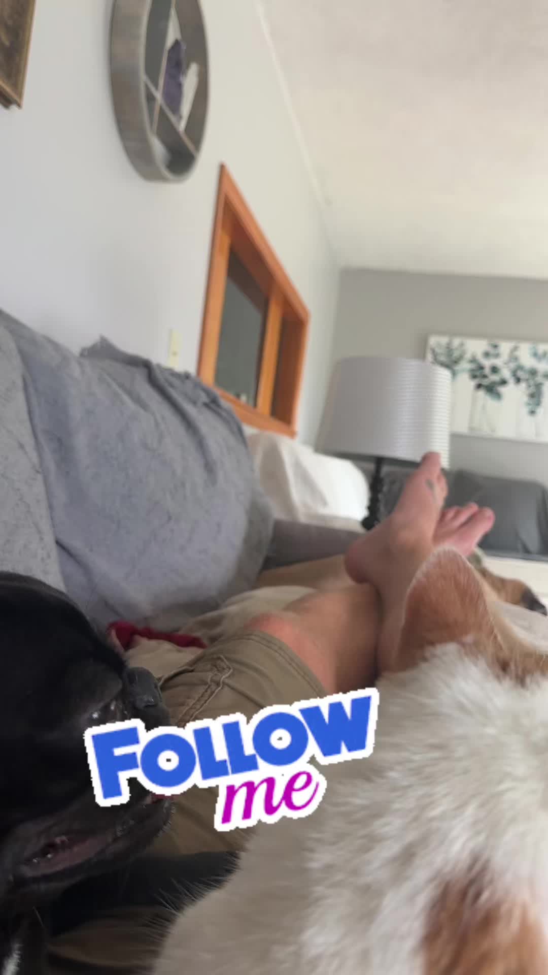 @jim_y🐅
