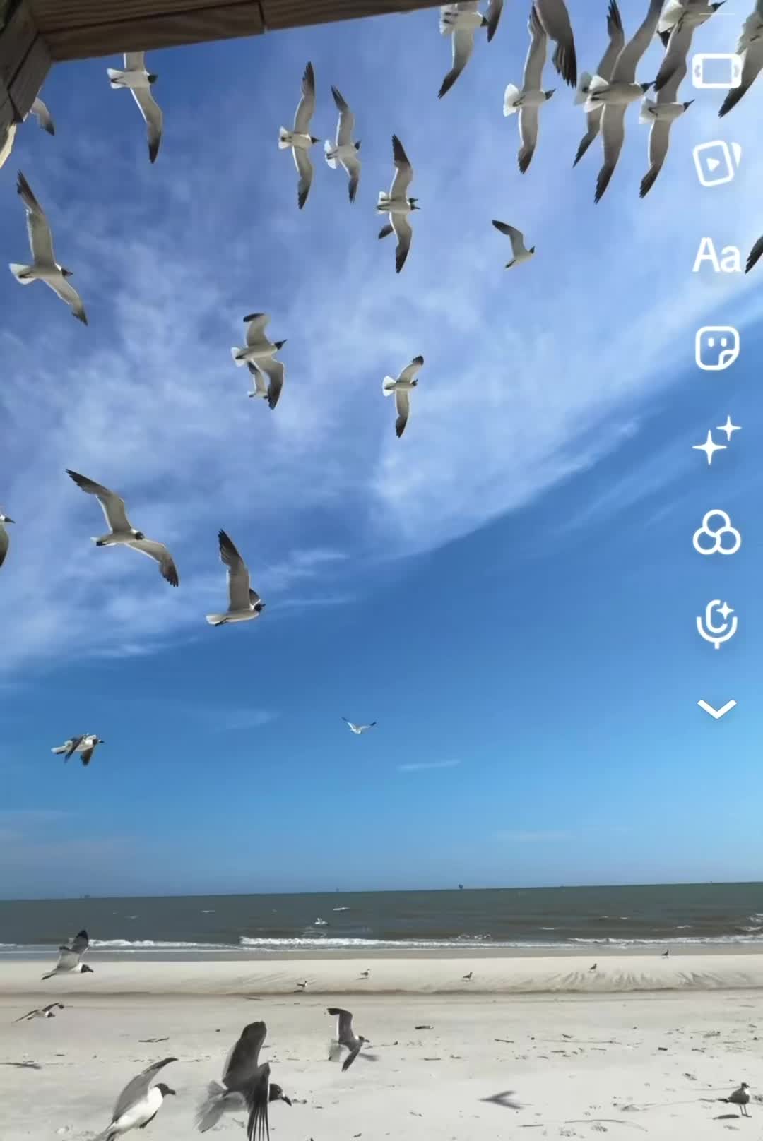 @okiefiremom530