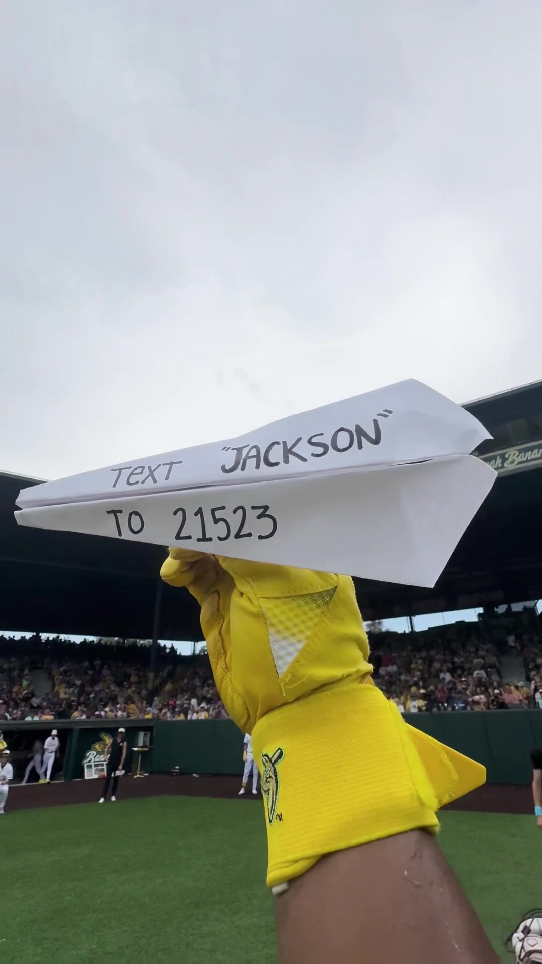 @thesavbananas