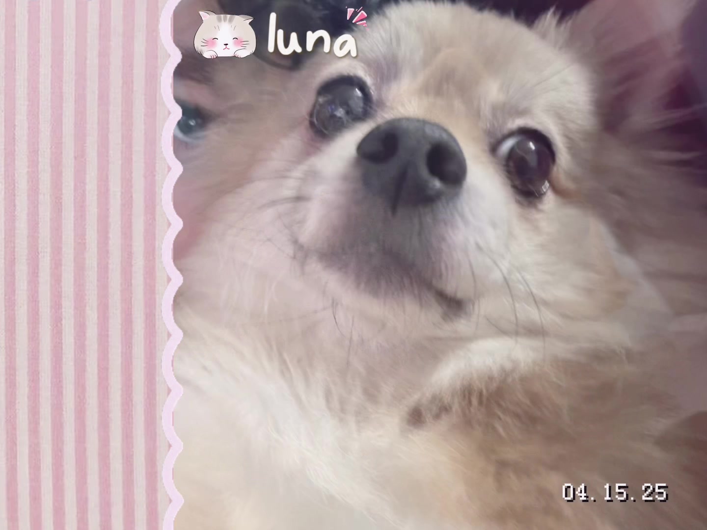 @lenny
