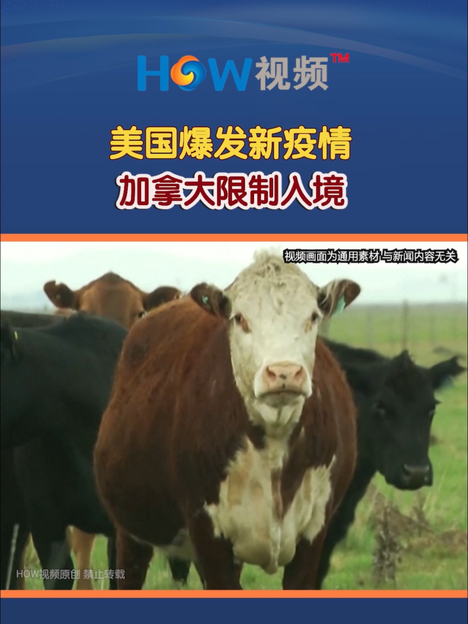 @HOW视频