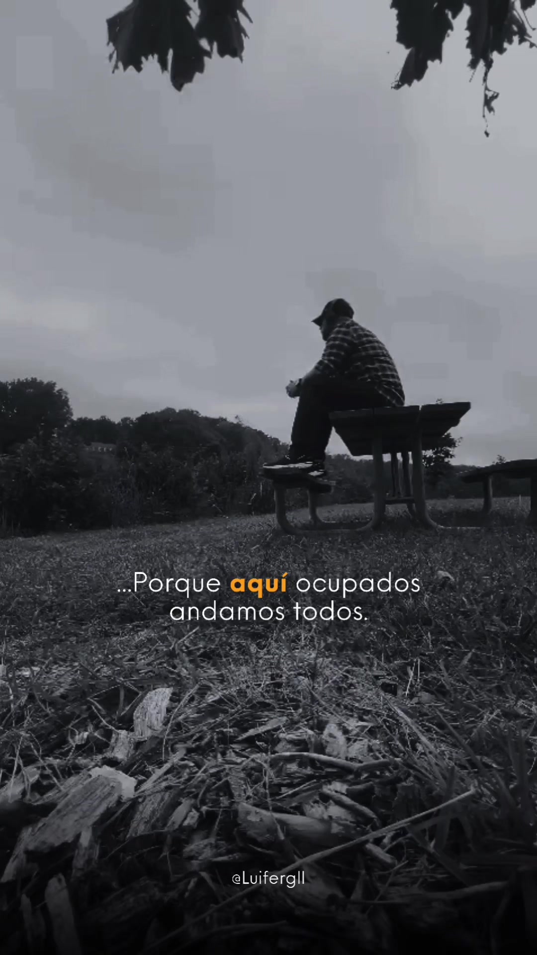 @𝙇𝙐𝙄𝙁𝙀𝙍