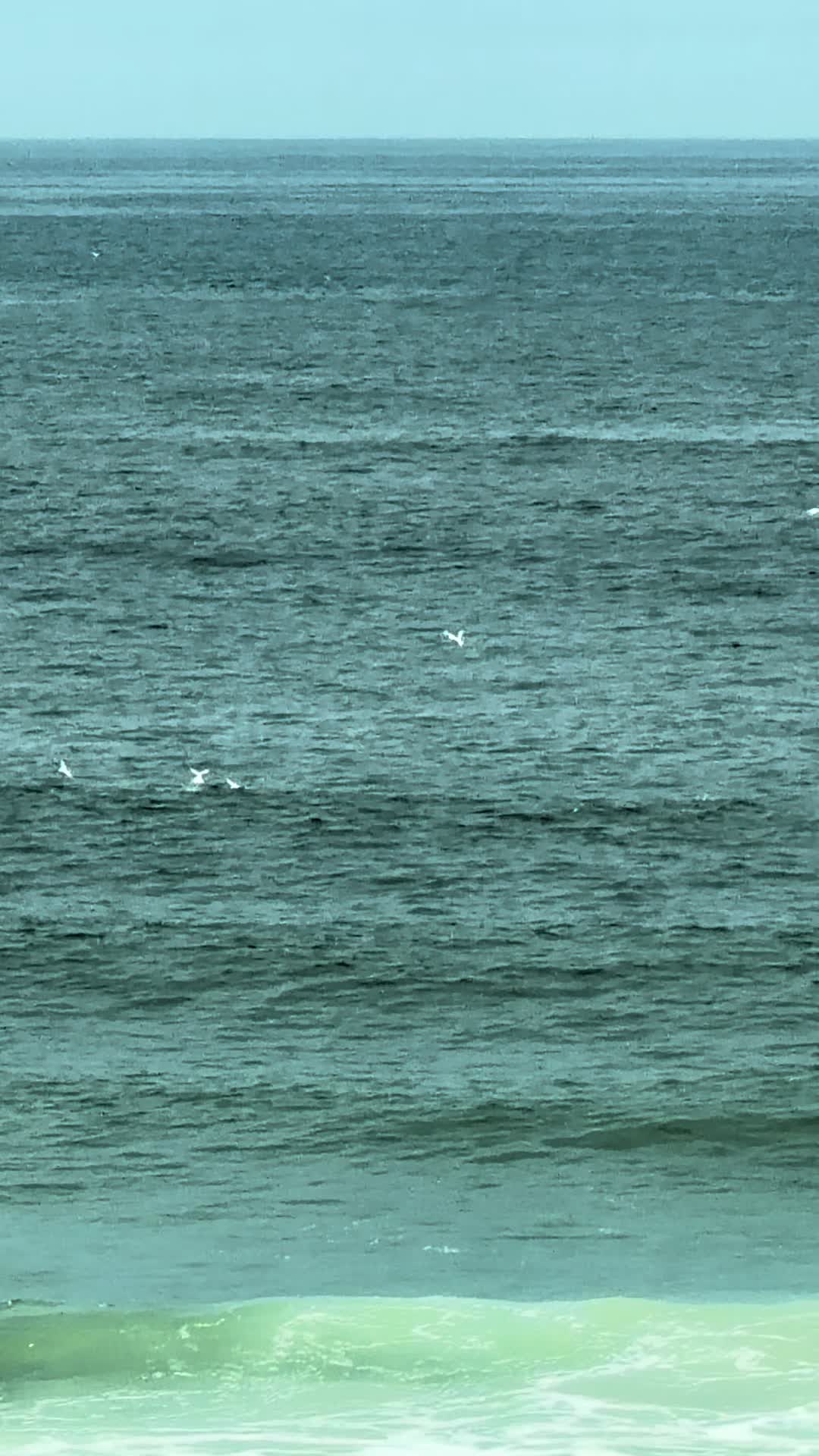 @SurfcastNJ Joe Gray