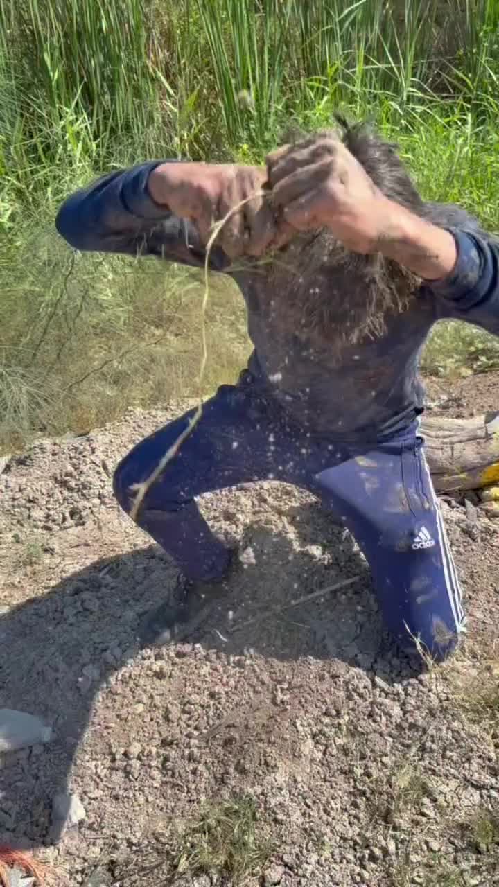 @Diegoneitroo