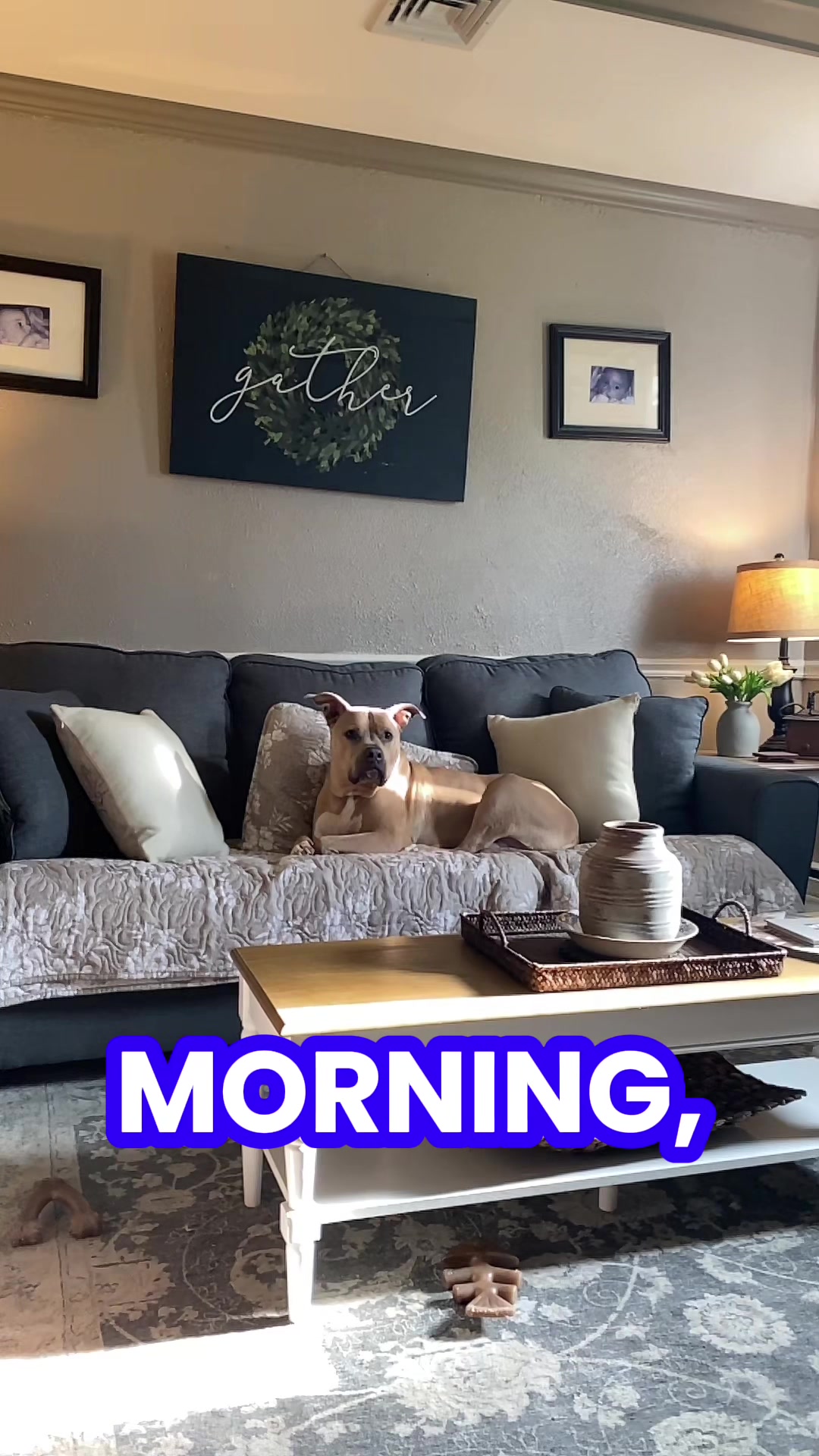 @Heather & Rocky 🐾💕