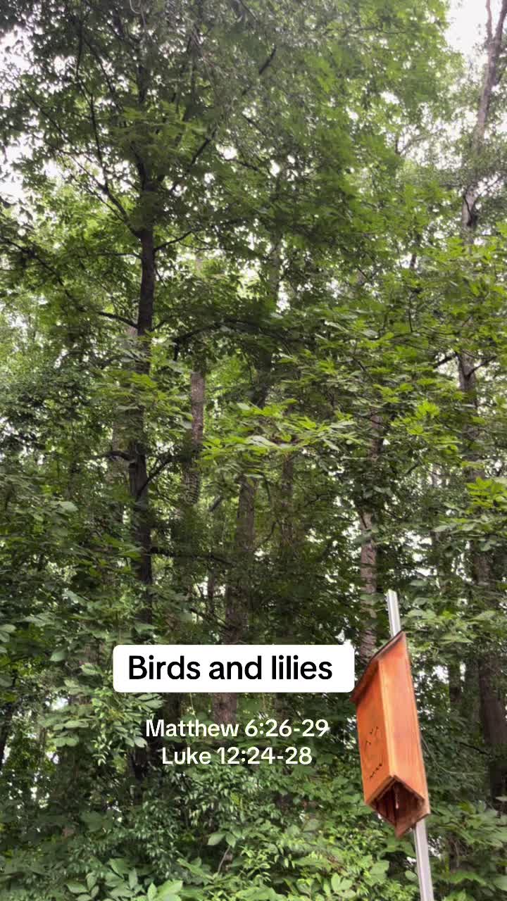 @thevanessalifestyle