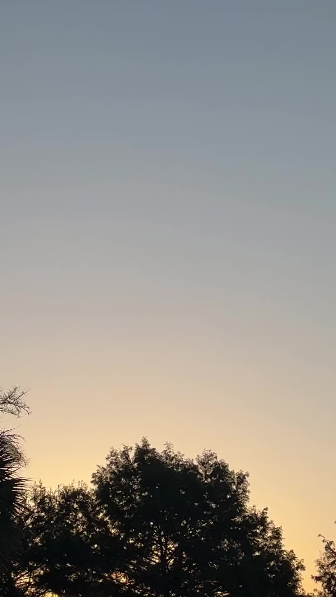 @masterzapata7dan