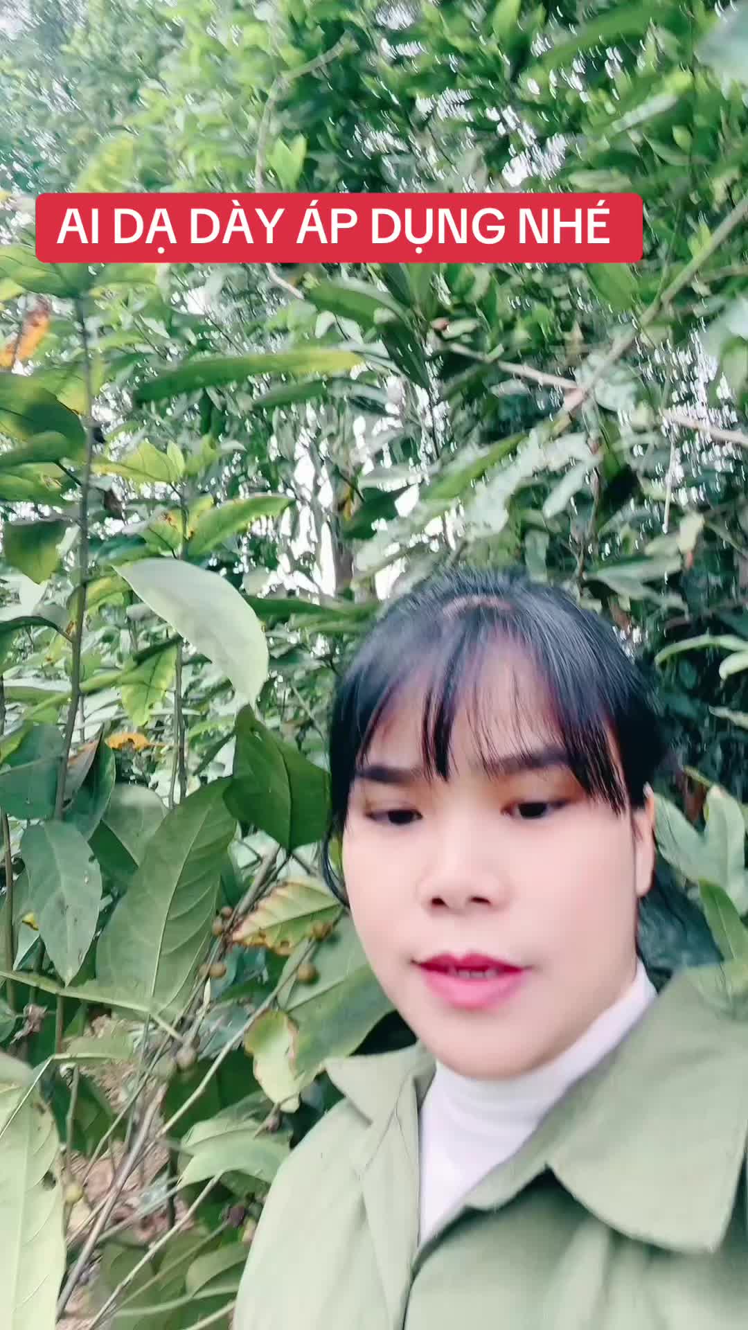 @Ngọc Chinh Miền Núi