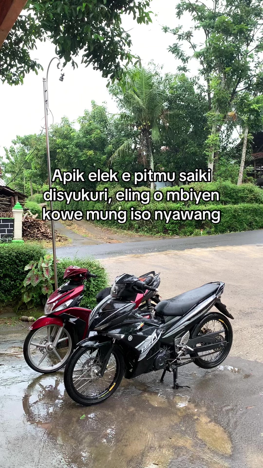 @Mahesa bukan Masesha