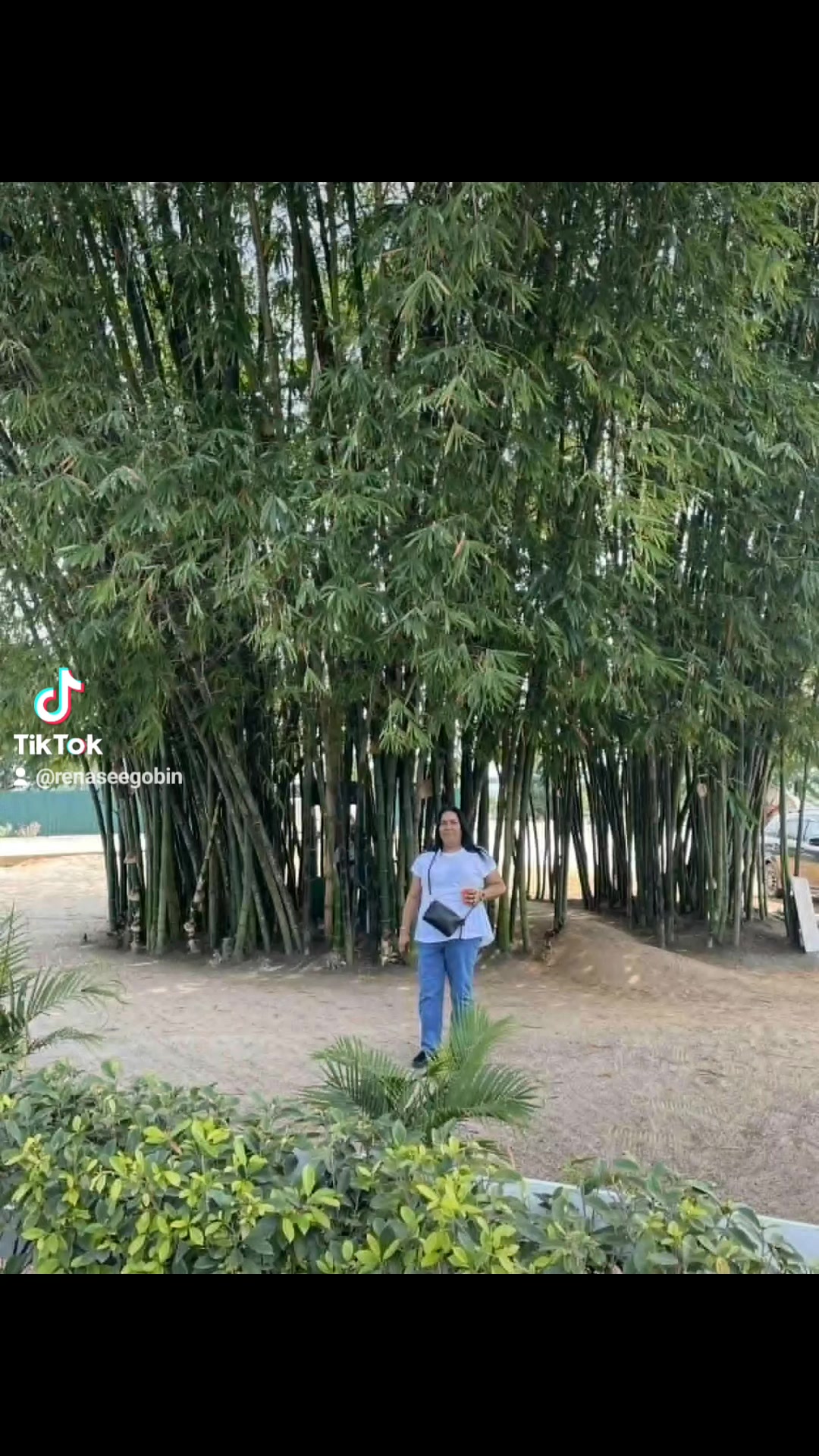 @rena