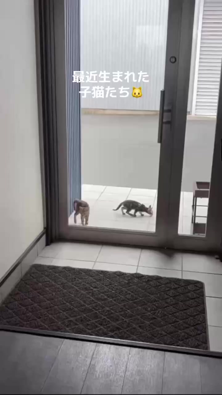 @【公式】株式会社真宮|三重