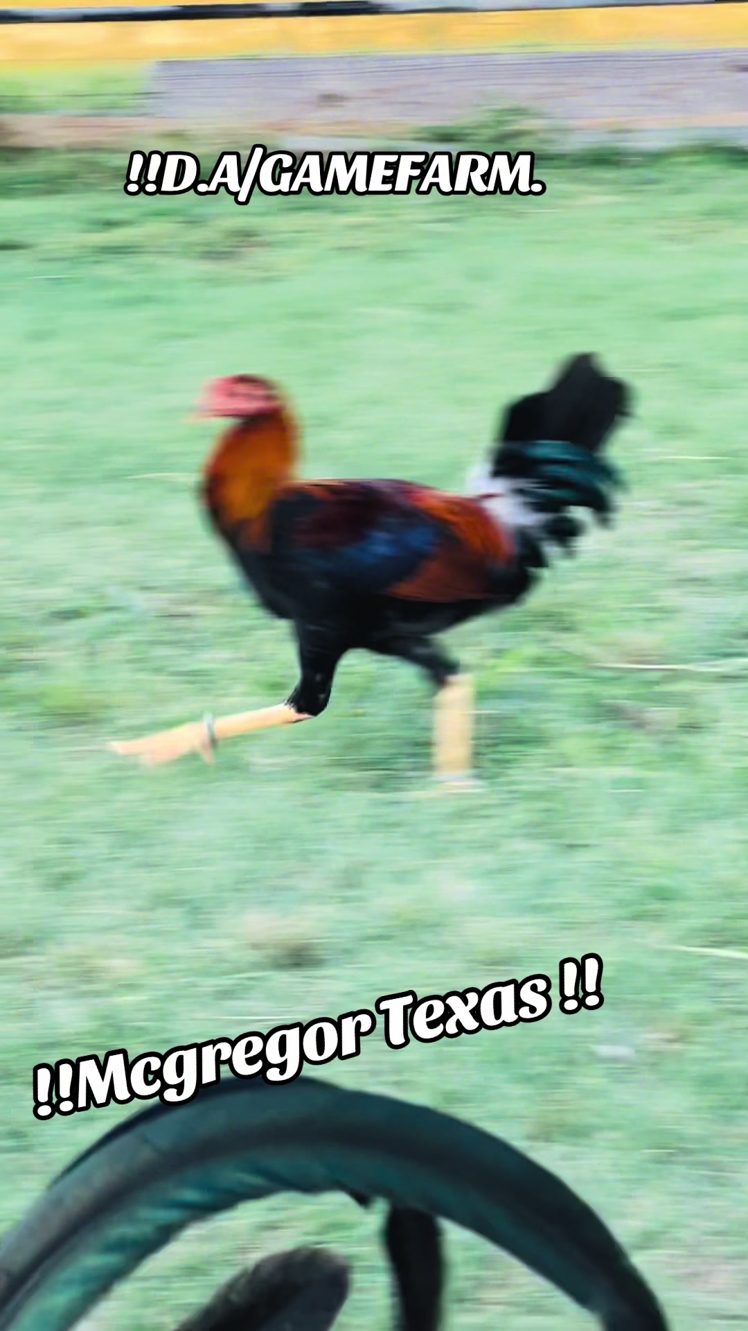 @DAgamefarm