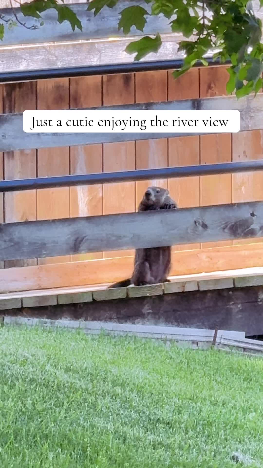 @Liv ๐ค
