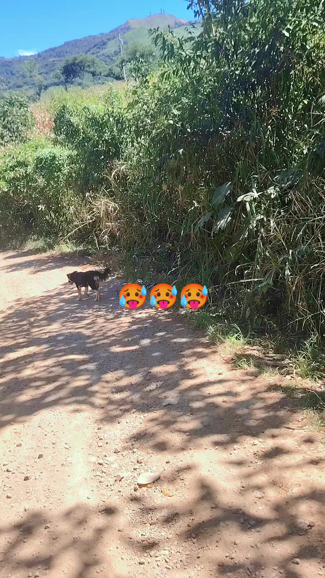@Yuly Maldonado🍀♥️