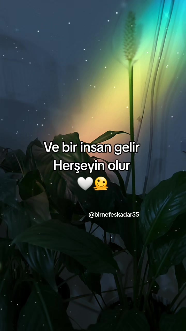 @birnefeskadar55