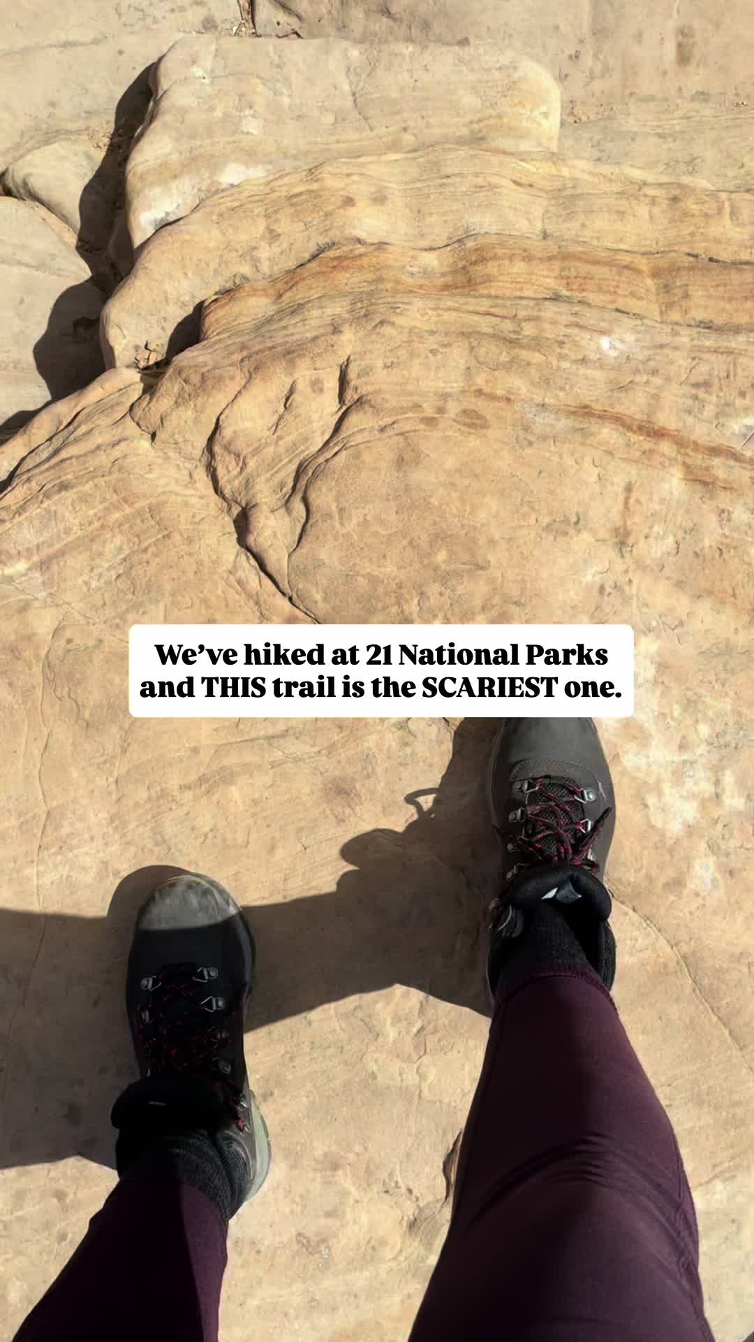 @Adventures of the Cookes