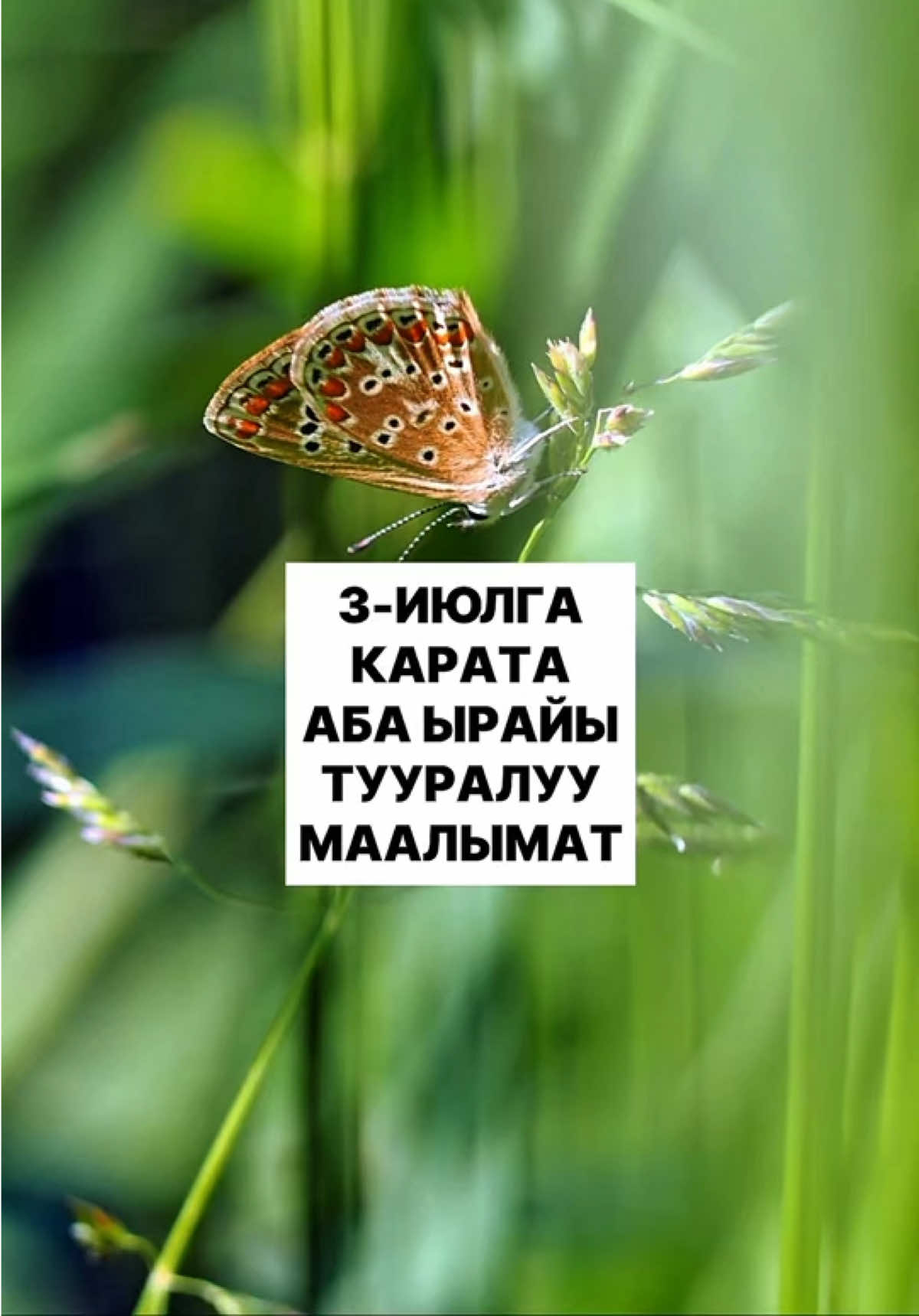 @politklinika