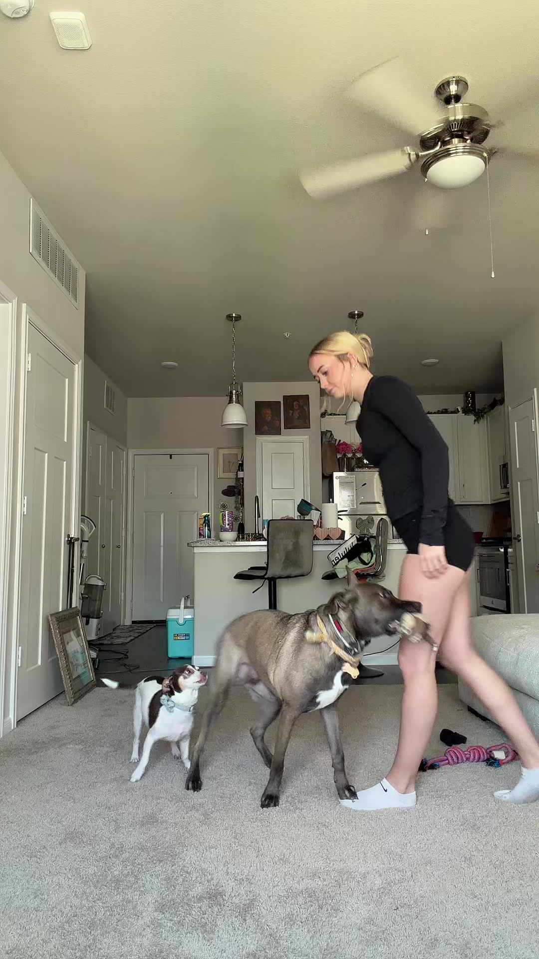 @audrey.laine11