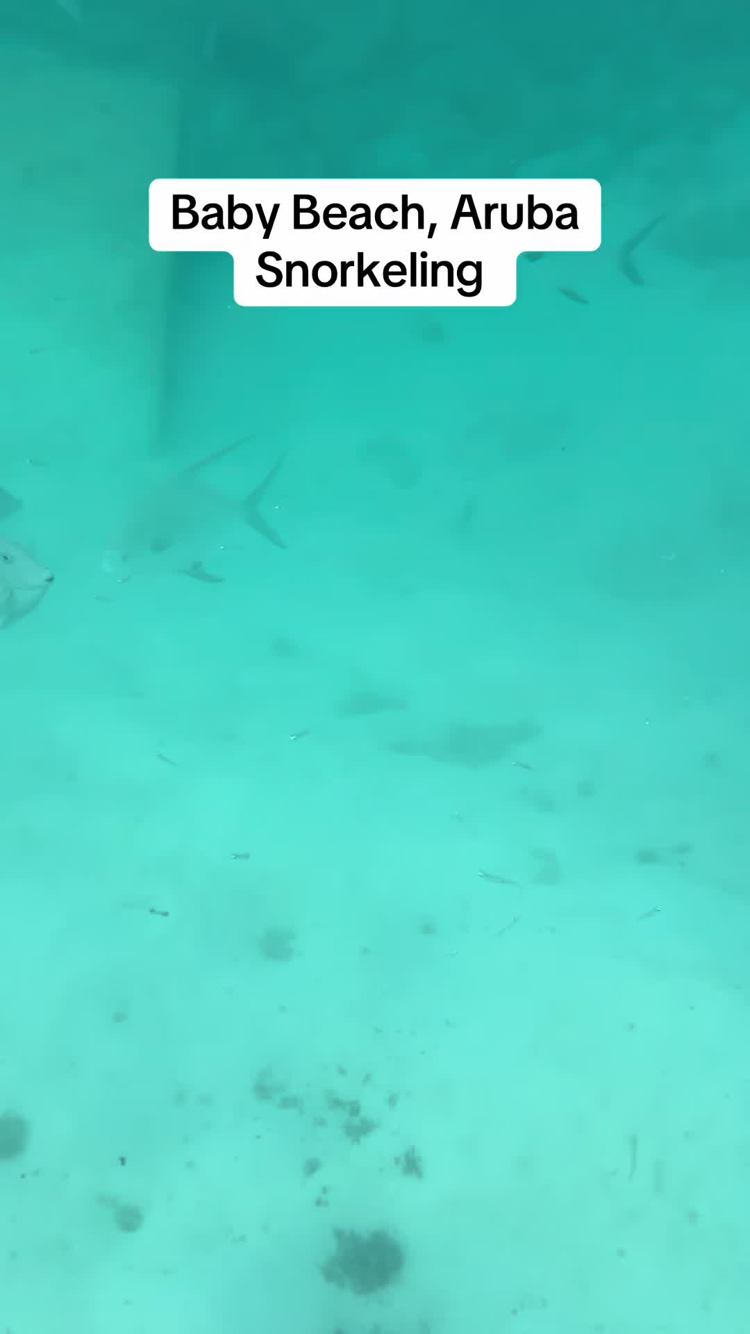 @BlueStreakTravel-DreamVacation