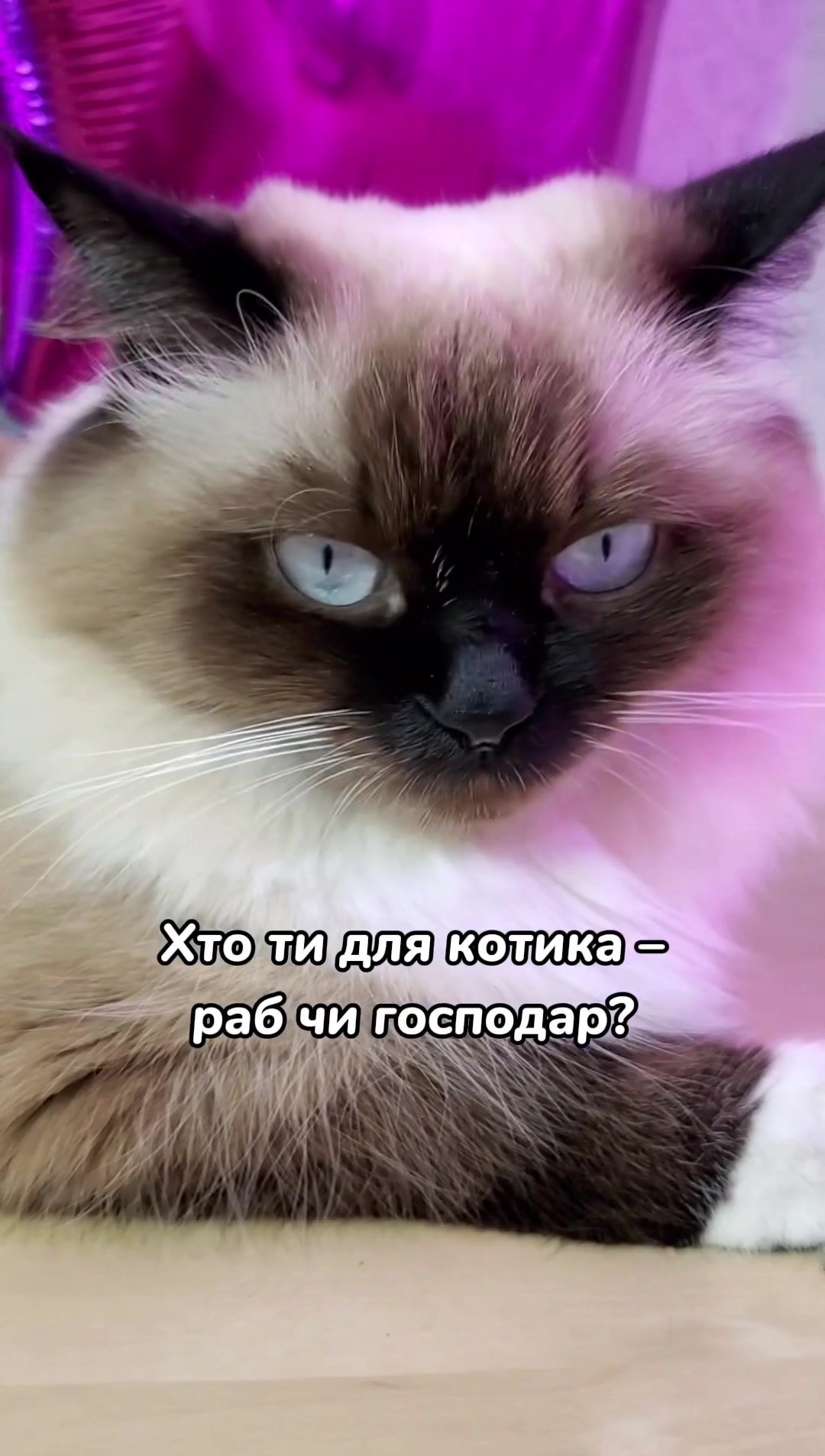 @Місс КІСЯ
