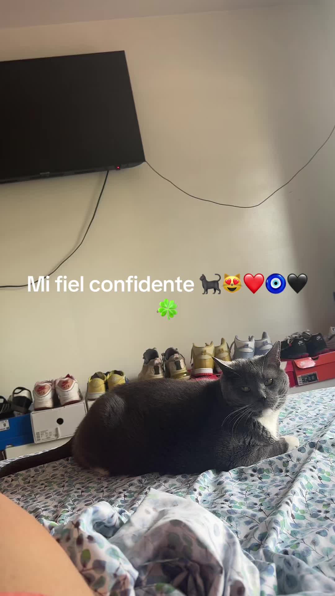 @🍀🧿NEGRA🧿🍀🖤