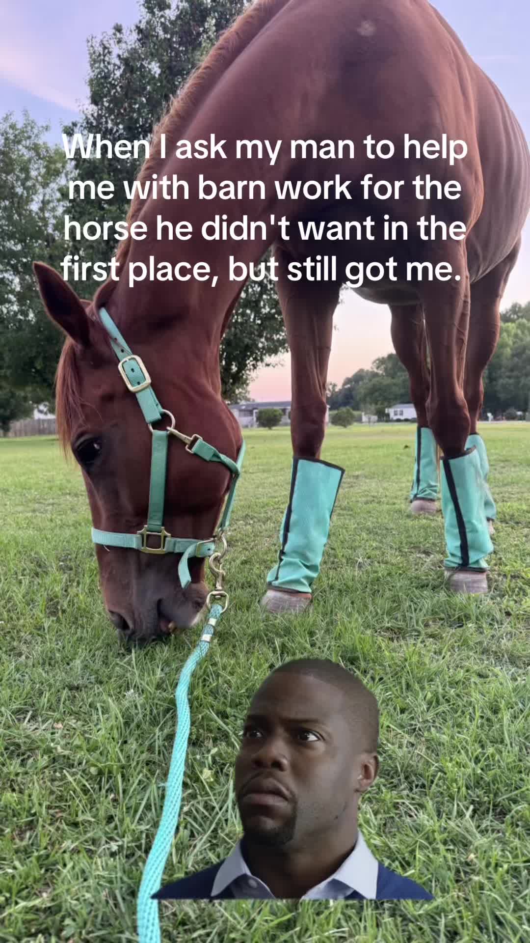 @holly_wood2427