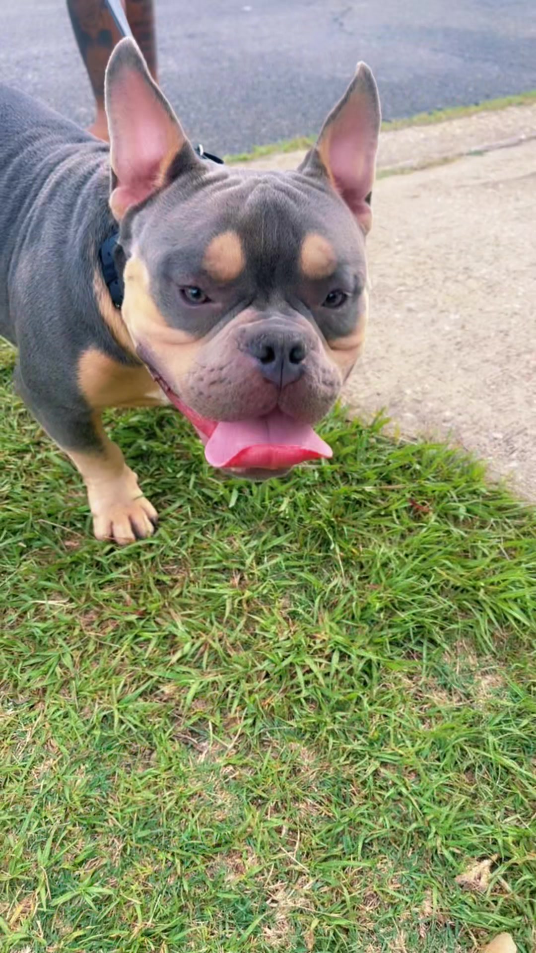 @gardnerkennel08