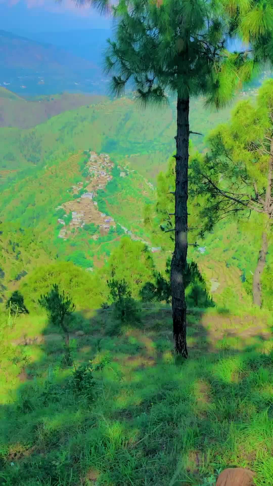 @وطن گلونہ
