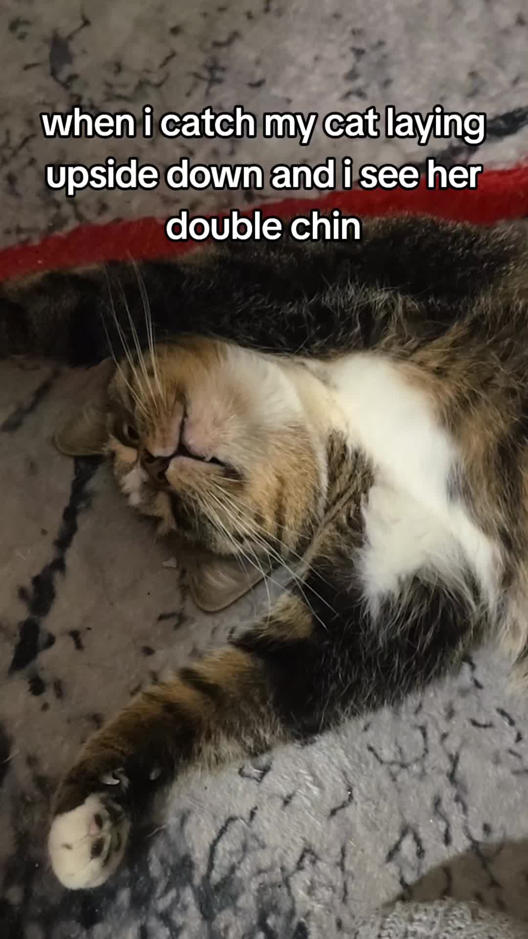 @๐๊ค๊ค๊๊ฆ๊๊๐