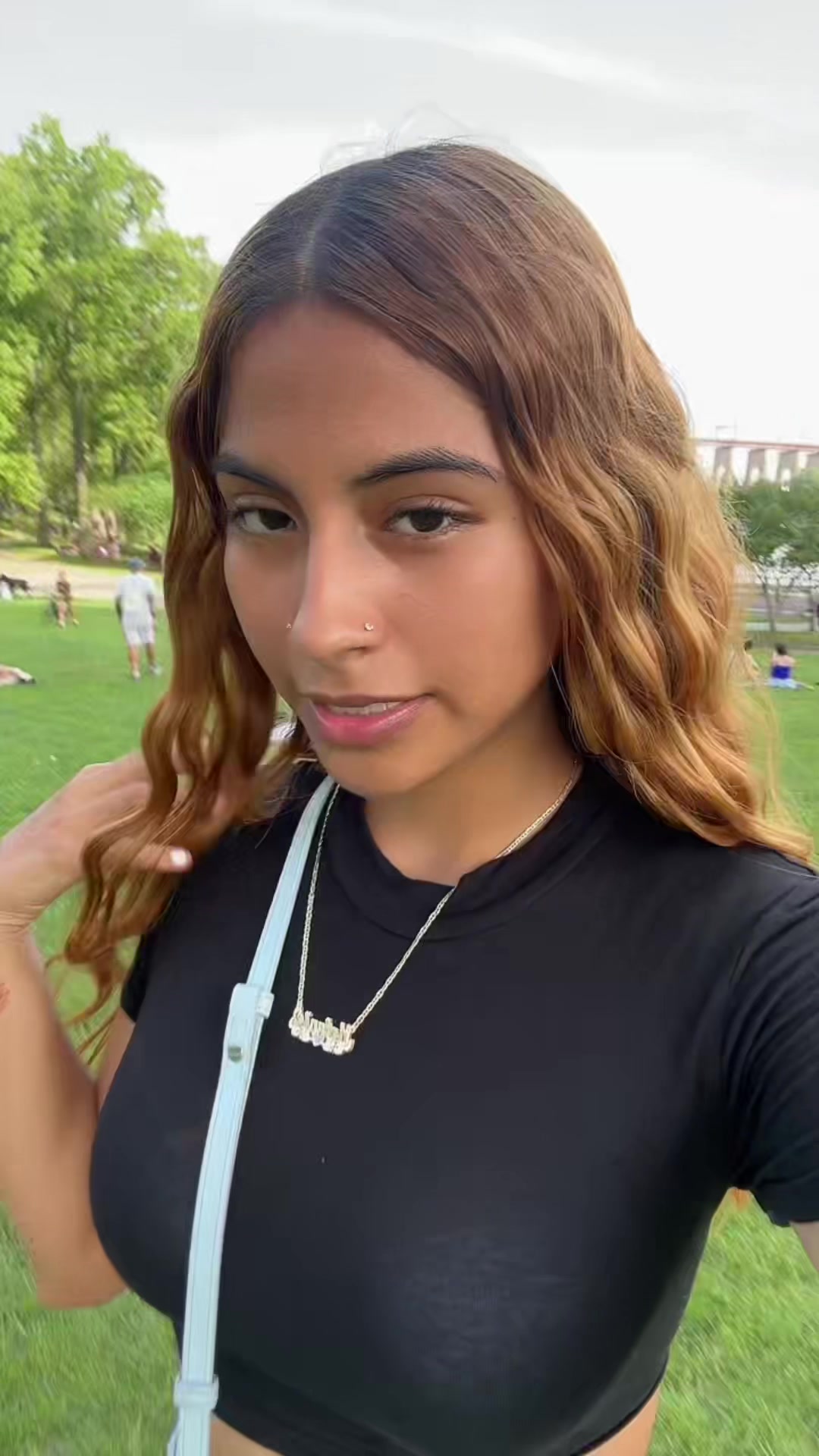 @mxll1q