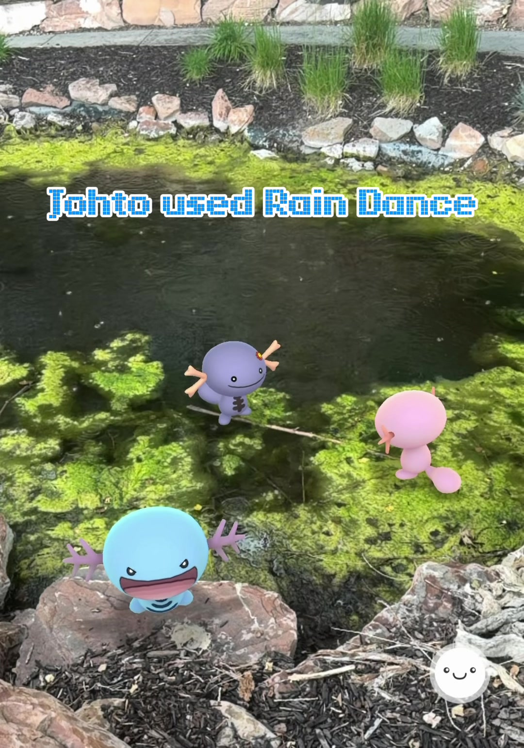 @The Wednesday Wooper