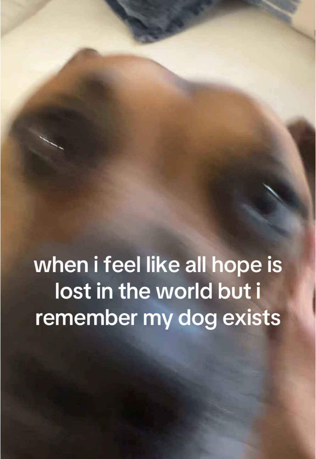 @sophi