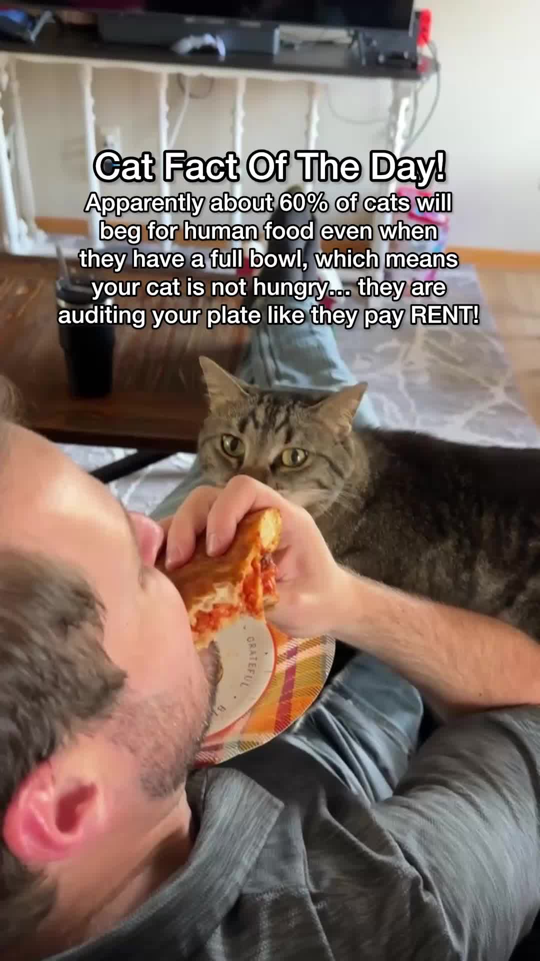 @Chip The Manx