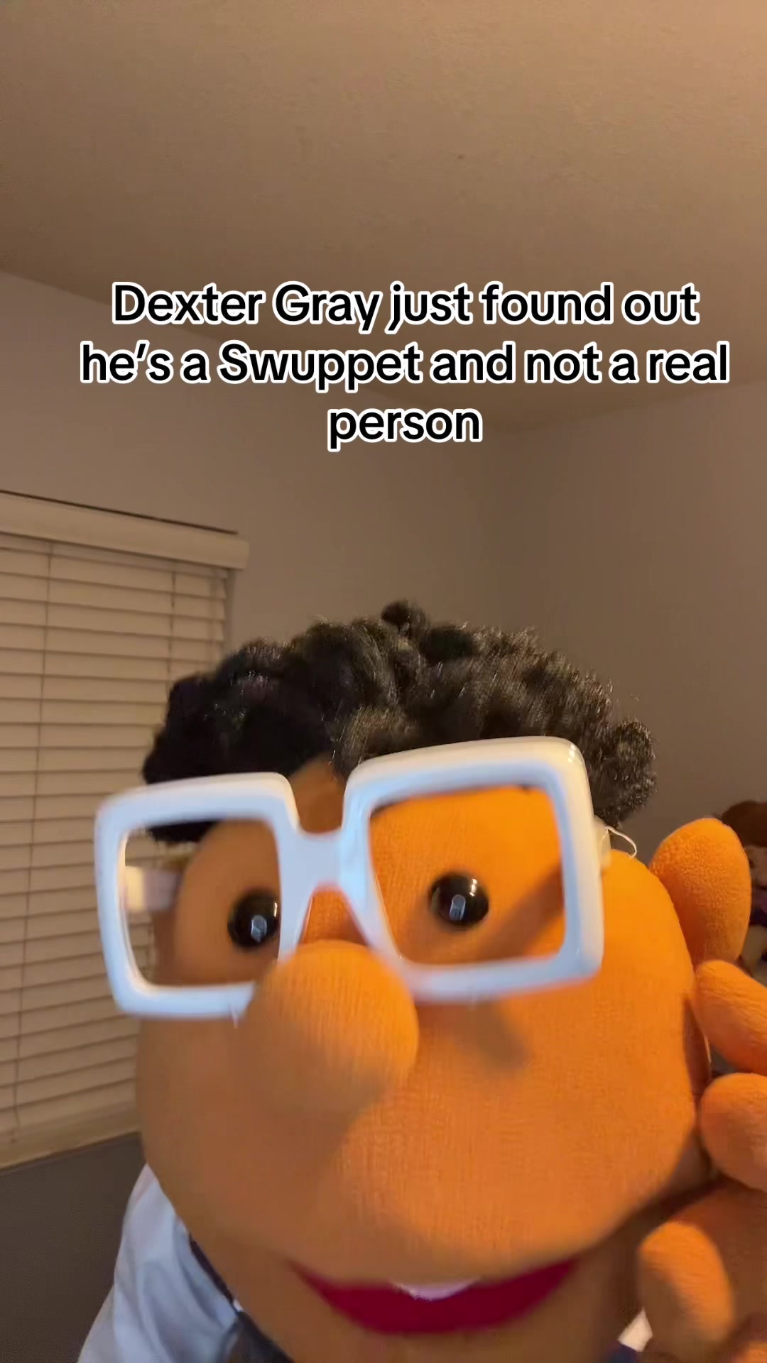 @The Swuppets❌