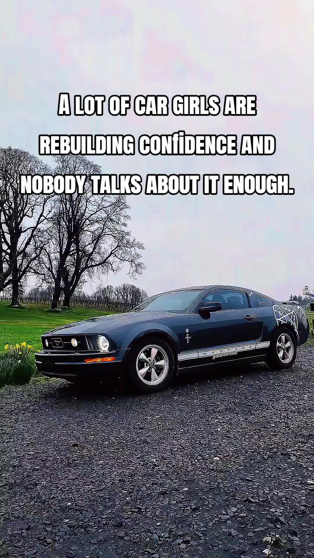 @PonyPackage