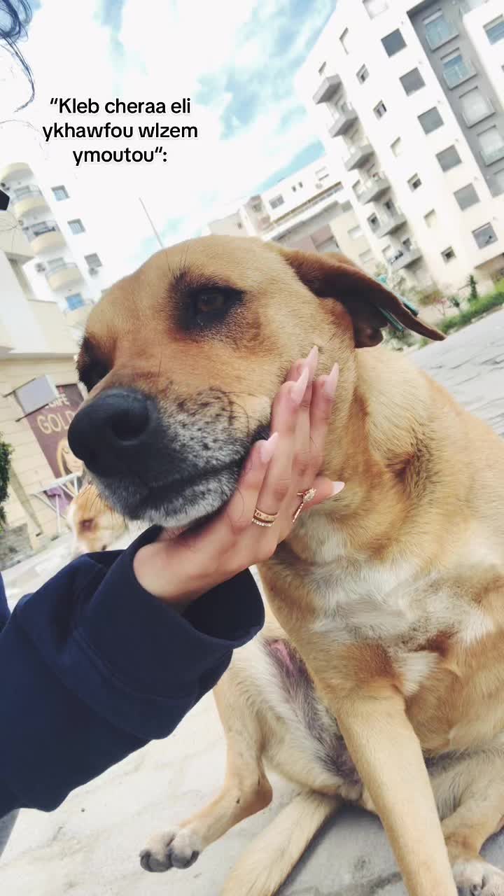 @meyssa.m๐น๐ณ