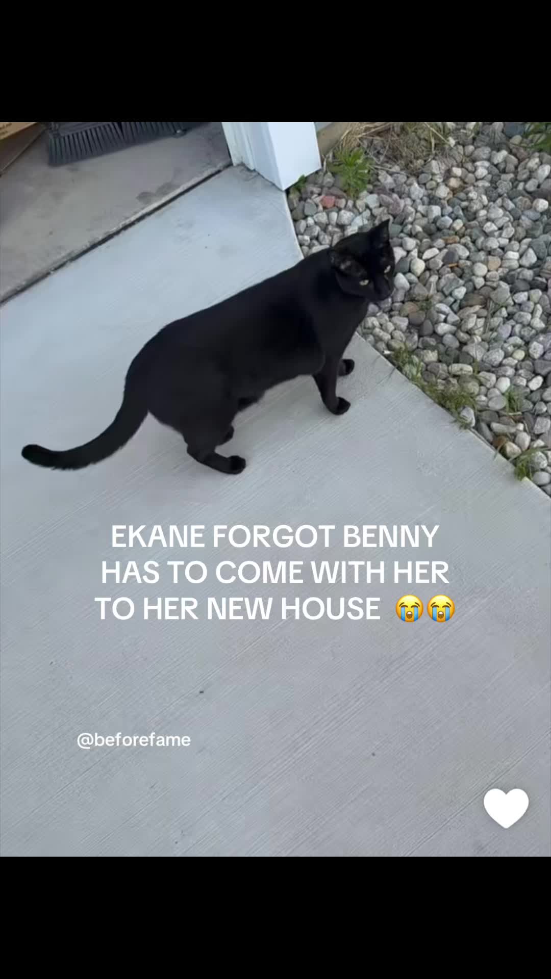 @prettygirlclipss3