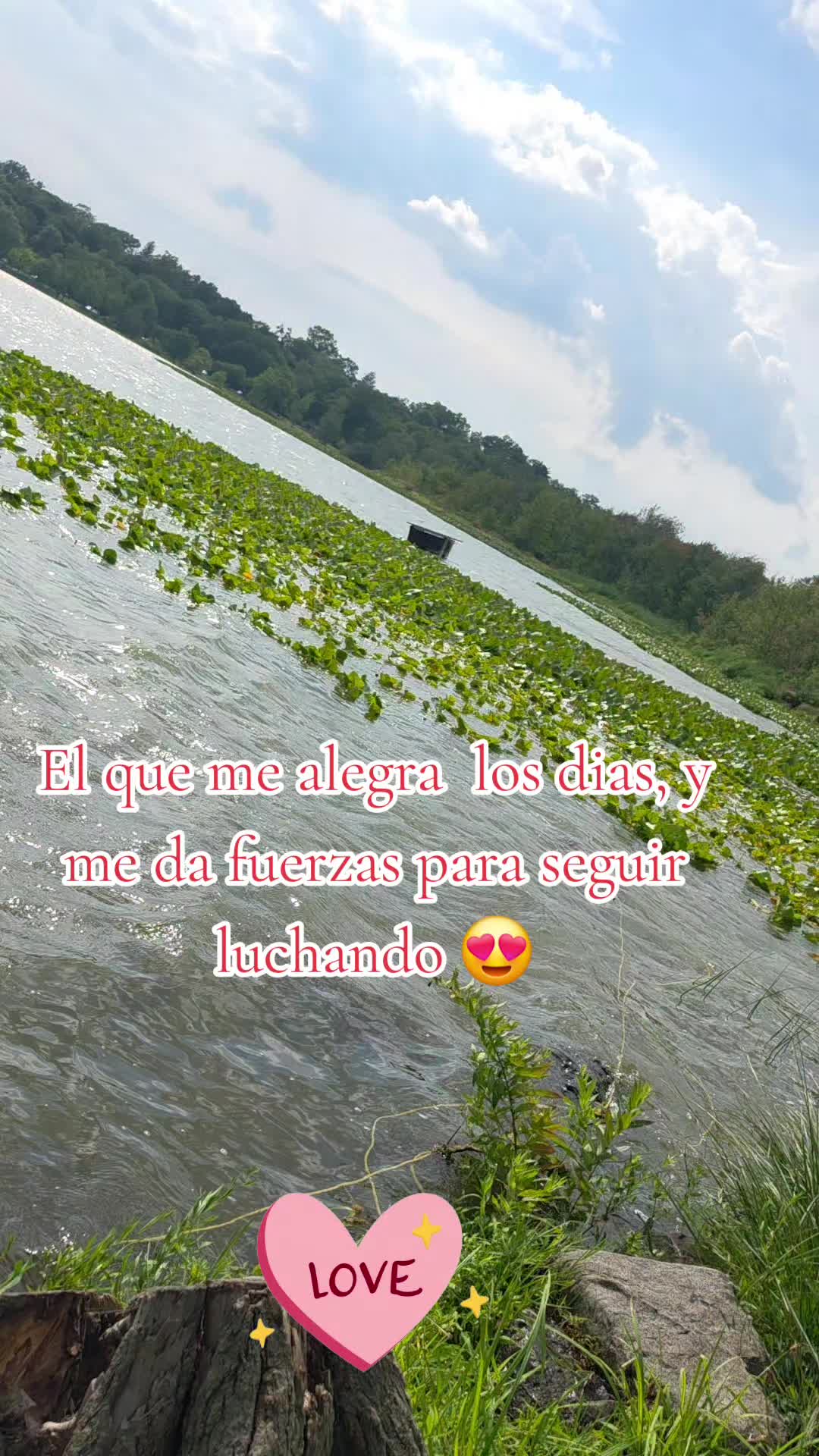 @Saul