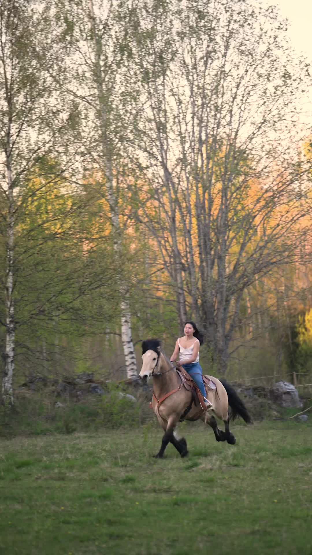 @Horses TikTok