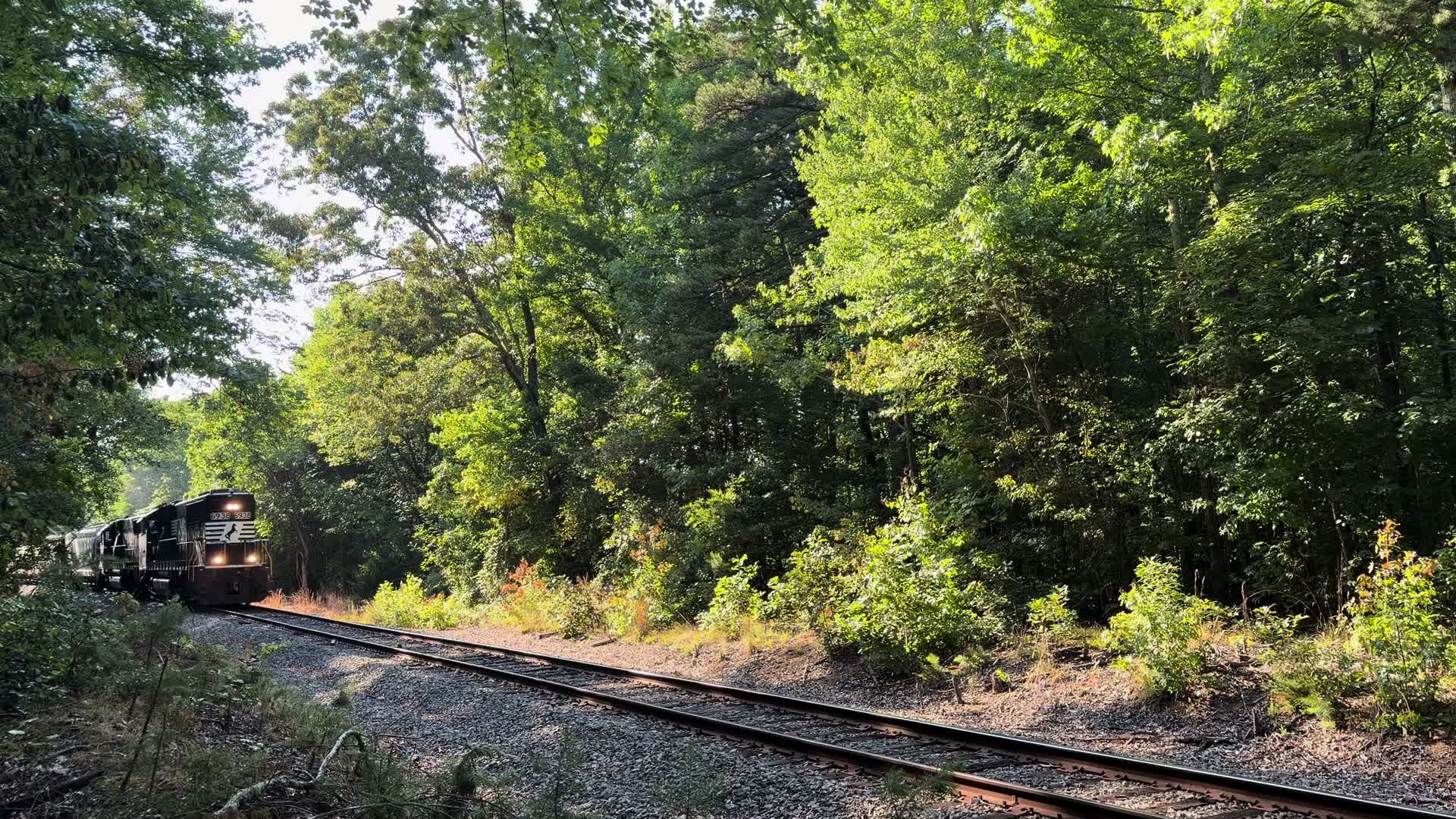 @NS 4001 productions