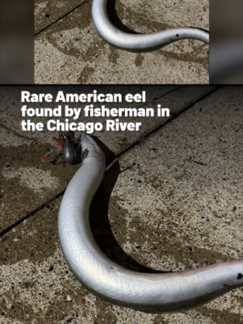@NBC Chicago