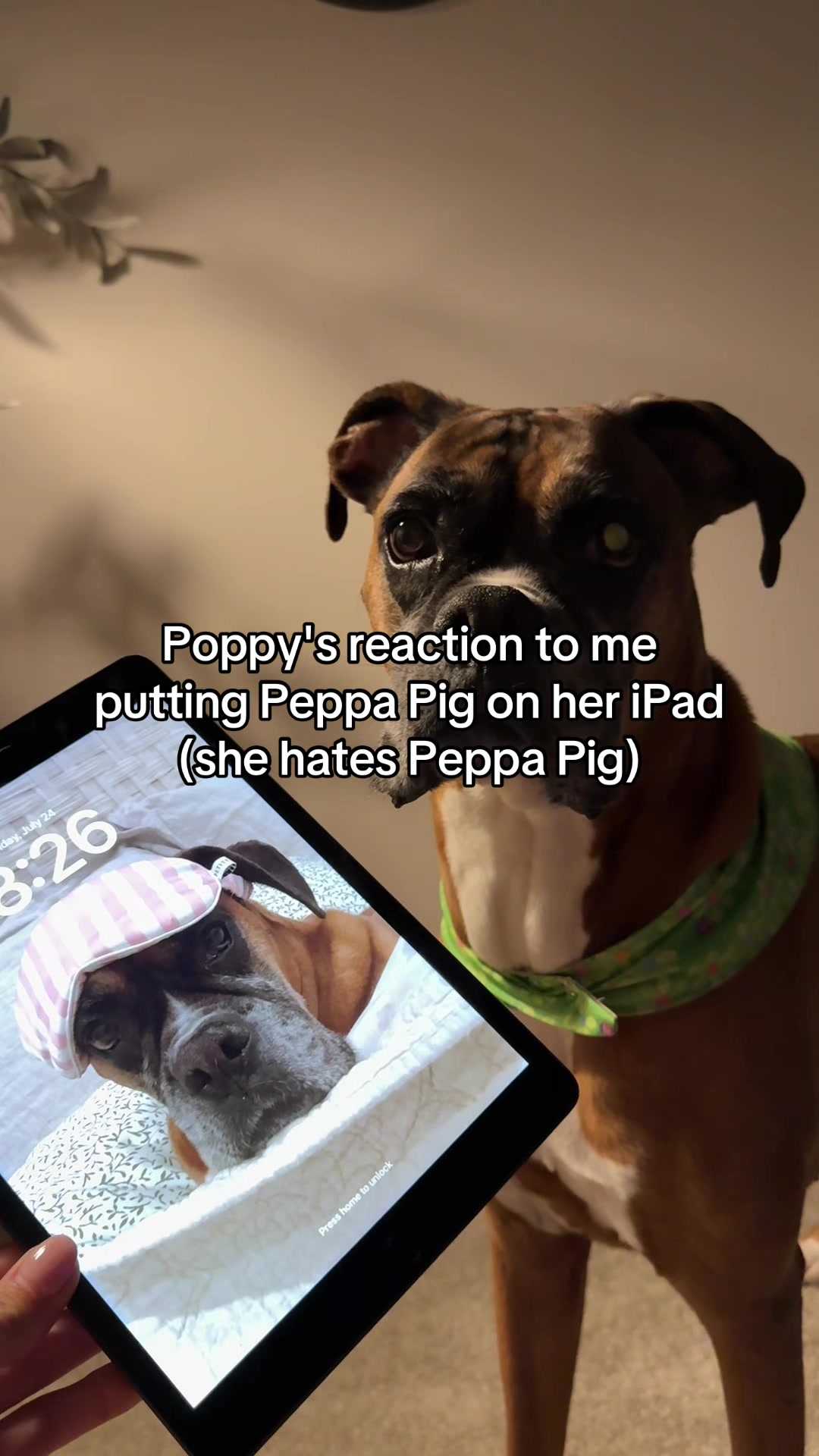 @Princess Poppy